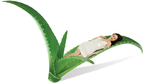 Переваги Aloe Vera Duvet
