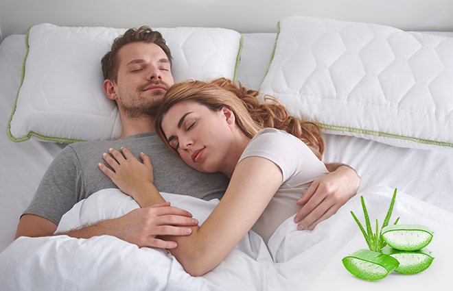 Dormeo Aloe Vera Pillow Classic II