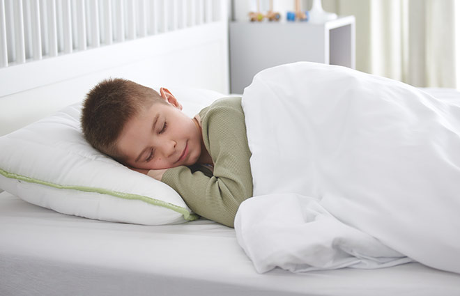 Dormeo Aloe Vera Pillow Classic II